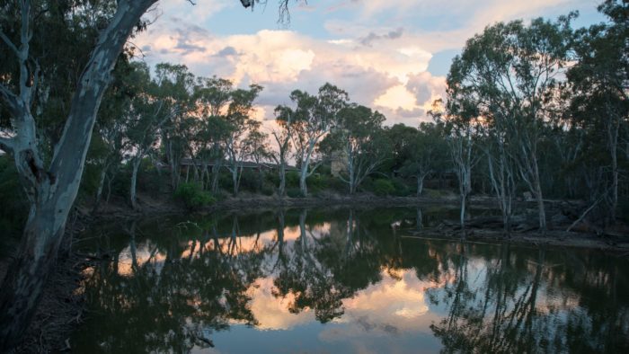 Bushfire Community Legal Program, Community Justice Services SA, free legal help for South Australians