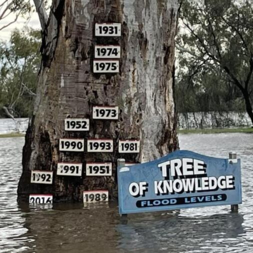 Free legal help for people affected by the River Murray floods